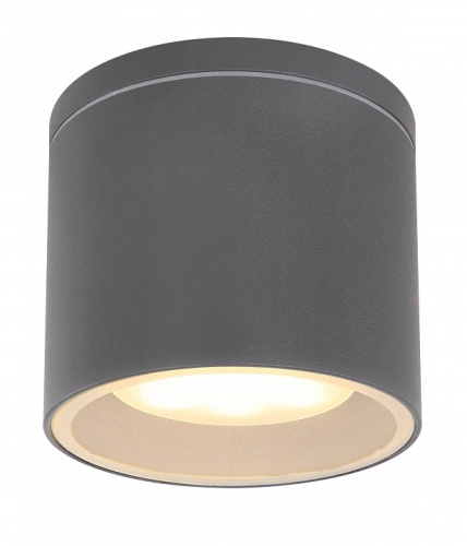 Накладной светильник Globo Alcala 32063A в Нижнем Новгороде