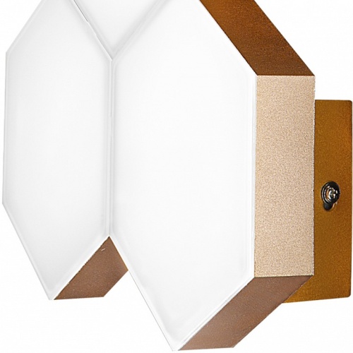 Накладной светильник Lightstar Favo 750641 в Нижнем Новгороде фото 3