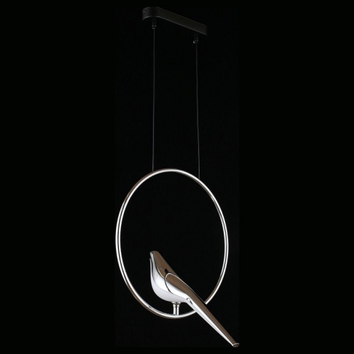 Подвесной светильник Aployt Astor APL.822.16.10 в Нижнем Новгороде фото 4