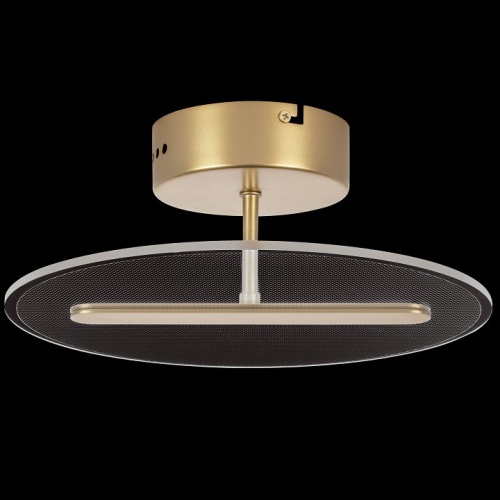 Светильник на штанге Lightstar Acrile 738033 в Нижнем Новгороде фото 4