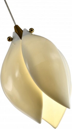 Подвесной светильник Zortes Dalin ZRS.90609.01 в Нижнем Новгороде фото 4