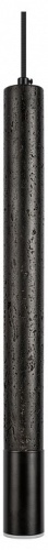 Подвесной светильник Loft it Everest 10583D Black в Нижнем Новгороде