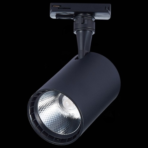 Светильник на штанге ST-Luce Cami ST351.446.20.36 в Нижнем Новгороде фото 2