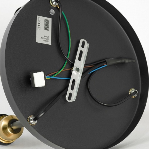 Потолочная люстра Lussole Mitchel LSP-8996 в Нижнем Новгороде фото 5