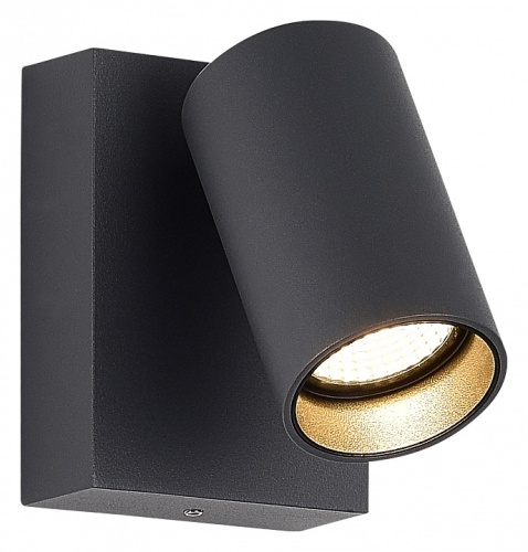 Светильник на штанге ST-Luce Deck SL9515.701.01 в Нижнем Новгороде фото 2