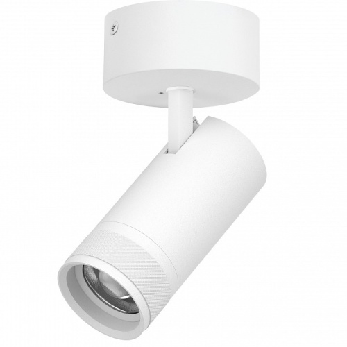 Спот Lightstar Canno Pro C4306SO в Нижнем Новгороде фото 3