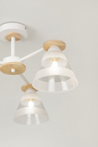 Люстра на штанге Rivoli Theothila Б0068434 в Нижнем Новгороде фото 2