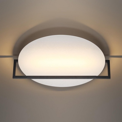 Накладной светильник Odeon Light Next 7015/20WL в Нижнем Новгороде фото 3