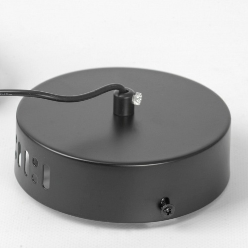 Подвесной светильник Lussole Aberdeen LSP-7151 в Нижнем Новгороде фото 3