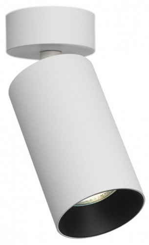 Накладной светильник Citilux AXEL CL512210 в Нижнем Новгороде