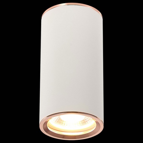 Накладной светильник ST-Luce Chomus ST111.527.01 в Нижнем Новгороде фото 2