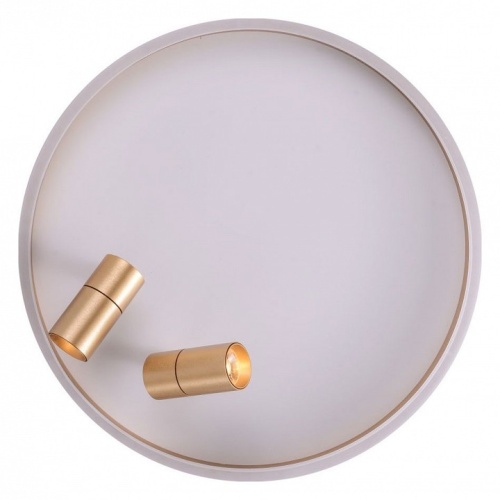 Накладной светильник Zortes Raizy ZRS.1888.02 в Нижнем Новгороде фото 7