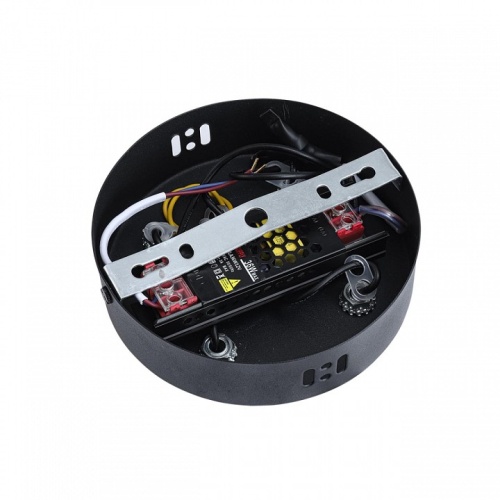 Подвесной светильник Lumion LEDIO 8341/28L в Нижнем Новгороде фото 2