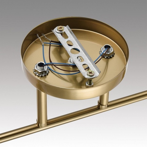 Светильник на штанге Lumion Vivian 8188/2C в Нижнем Новгороде фото 9