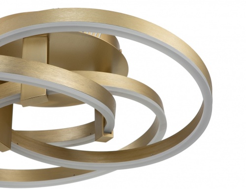 Потолочная люстра Indigo Pleiade 14002/3C Gold в Нижнем Новгороде фото 3