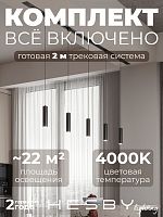 Комплект трековый Hesby Lighting Skylite №12 HSBL_kompl_S012_VI2B4K в Нижнем Новгороде