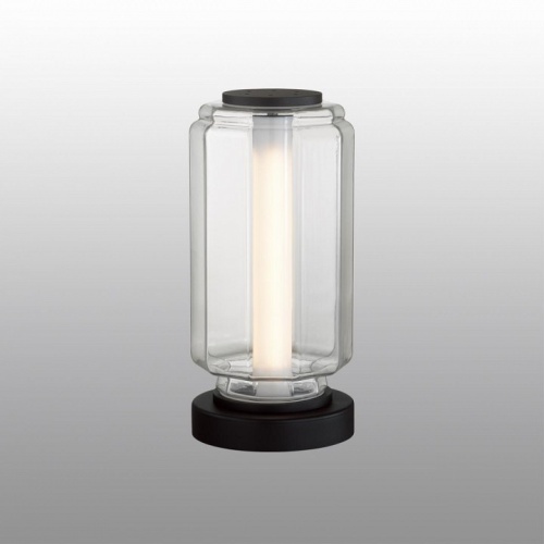 Настольная лампа декоративная Odeon Light Jam 5409/10TL в Соколе фото 5