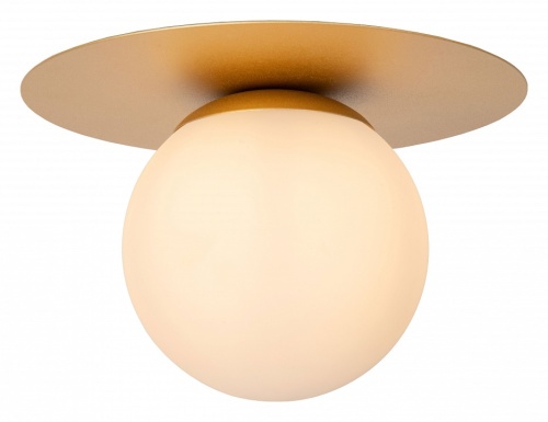 Накладной светильник Lucide Tricia 79187/01/02 в Нижнем Новгороде фото 3