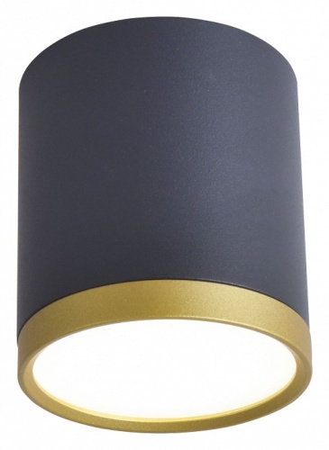 Накладной светильник Favourite Baral 3081-1C в Нижнем Новгороде фото 4