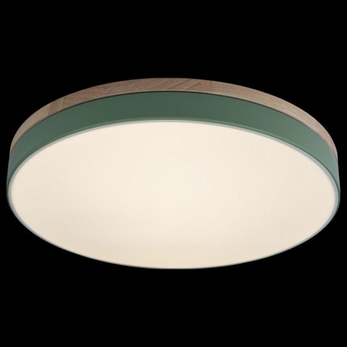 Накладной светильник Loft it Axel 10001/36 Green в Нижнем Новгороде фото 4