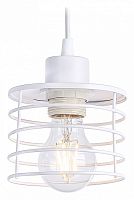 Подвесной светильник Ambrella Light TR TR8065 в Нижнем Новгороде