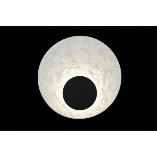 Накладной светильник Aployt Samuele APL.069.01.07 в Нижнем Новгороде фото 8