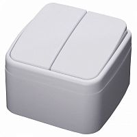 Выключатель двухклавишный Stekker Basic 39032 в Нижнем Новгороде