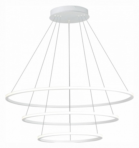 Подвесной светильник ST-Luce ST604 OUT ST604.543.114 в Нижнем Новгороде фото 2