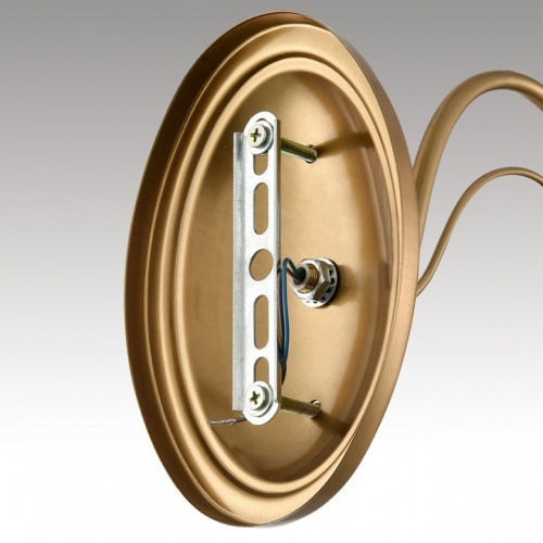 Бра Lumion INCANTO 8033/1W в Нижнем Новгороде фото 4