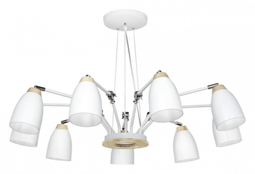 Подвесная люстра Loft it Watchman LOFT4402/9WH в Нижнем Новгороде фото 3