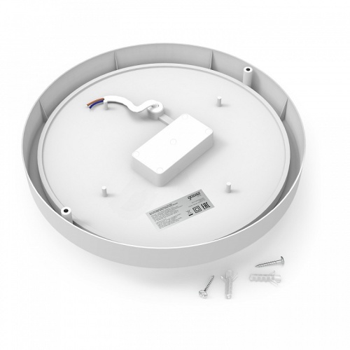 Накладной светильник Gauss LITE 126418230 в Нижнем Новгороде фото 2