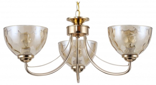 Подвесная люстра Rivoli Adrianne Б0060994 в Нижнем Новгороде