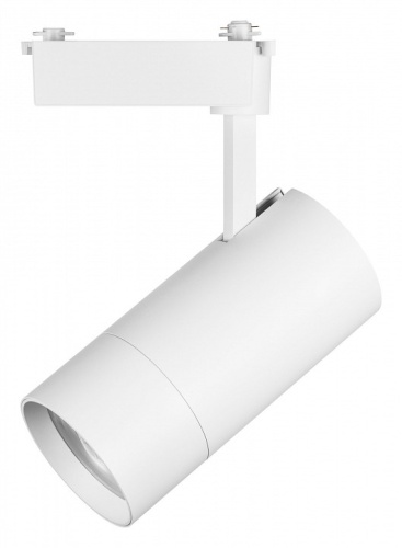 Светильник на штанге Lightstar Volta 229446 в Нижнем Новгороде фото 5