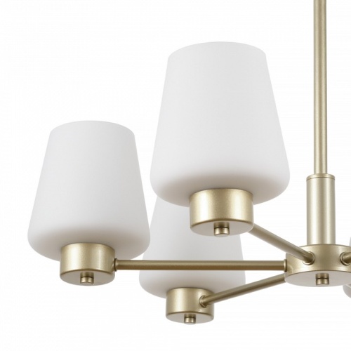 Подвесная люстра MyFar Mark MR2341-6P в Нижнем Новгороде фото 3