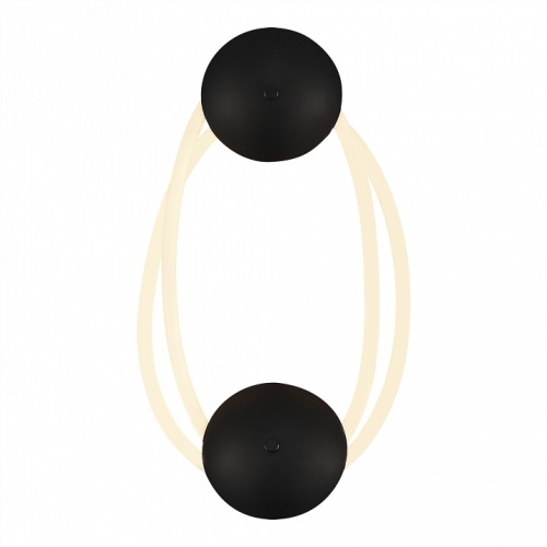 Накладной светильник ST-Luce Sagrato SL6102.421.30 в Нижнем Новгороде фото 2