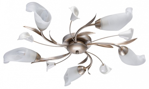 Потолочная люстра MW-Light Восторг 19 242016205 в Нижнем Новгороде