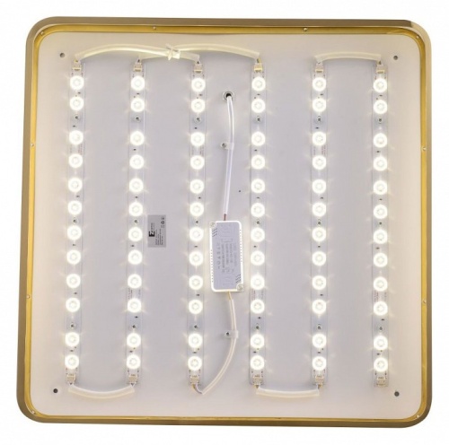 Накладной светильник Zortes Monna ZRS.1209.05 в Нижнем Новгороде фото 8