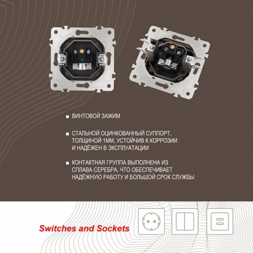 ТВ-розетка без рамки Arte Milano am-203 203.43-1.shampan в Нижнем Новгороде фото 2