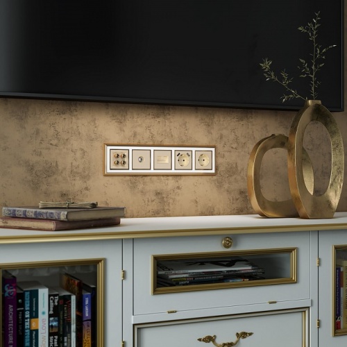 ТВ-розетка оконечная без рамки Werkel шампань W1183011 в Нижнем Новгороде фото 4