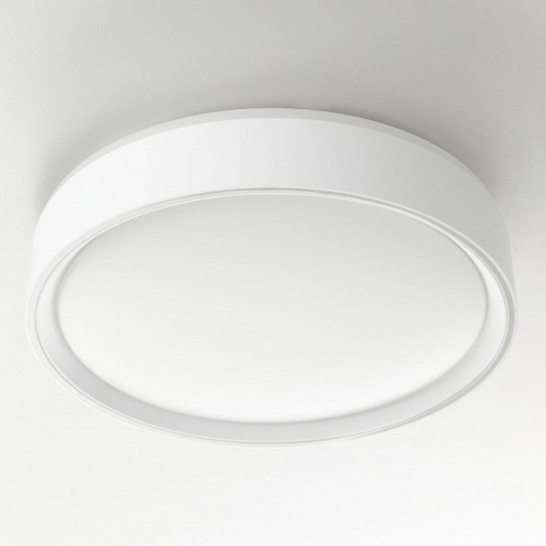 Накладной светильник Citilux BOSS CL751250G в Нижнем Новгороде фото 7