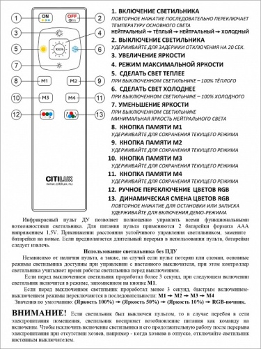 Накладной светильник Citilux Симпла CL714330G в Звенигороде фото 17
