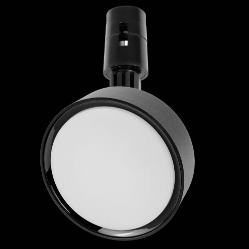 Светильник на штанге Lightstar Due Hermes 210547 в Нижнем Новгороде фото 2