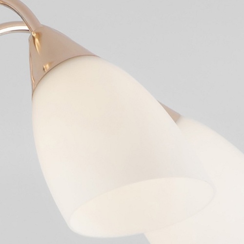 Люстра на штанге Eurosvet Ellene 30149/5 золото в Нижнем Новгороде фото 5