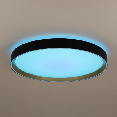 Накладной светильник Citilux BOSS CL751451G в Белово фото 12