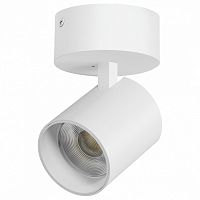 Спот Lightstar Alta Base A5446SO в Нижнем Новгороде