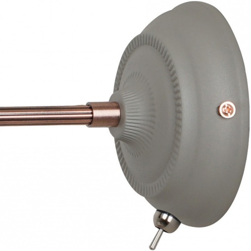 Бра Arte Lamp 5067 A5067AP-1GY в Нижнем Новгороде фото 2