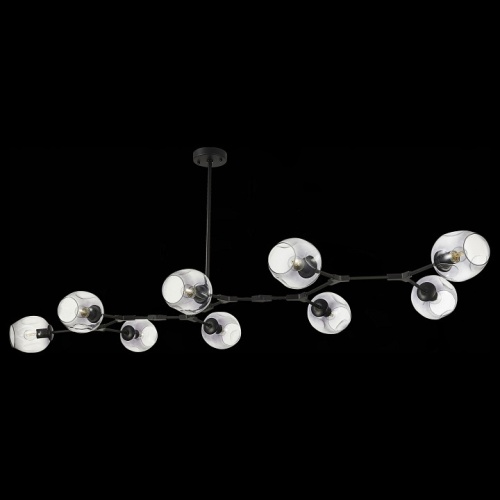 Подвесная люстра EVOLUCE Rametto SLE154843-09 в Нижнем Новгороде фото 3