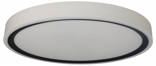 Накладной светильник Zortes Bella ZRS.1201.07 в Нижнем Новгороде фото 4