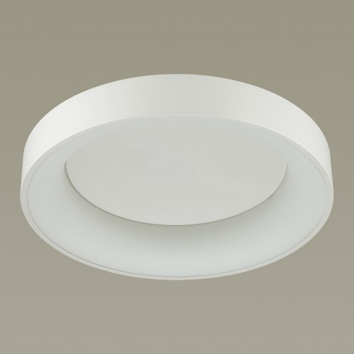 Накладной светильник Odeon Light Sole 4062/50CL в Кольчугино фото 4