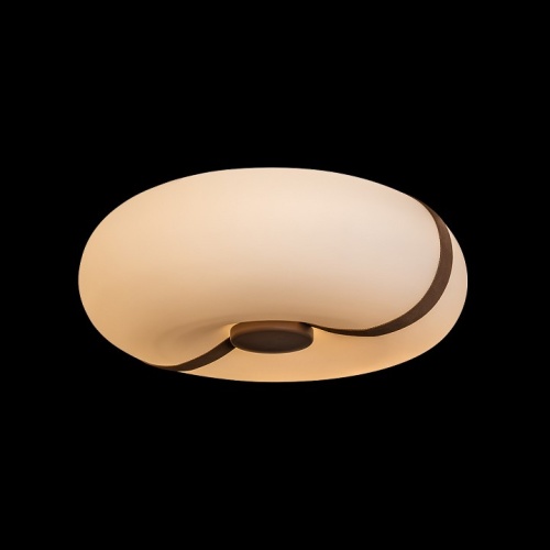 Накладной светильник Loft it Bolina 10473 в Нижнем Новгороде фото 2